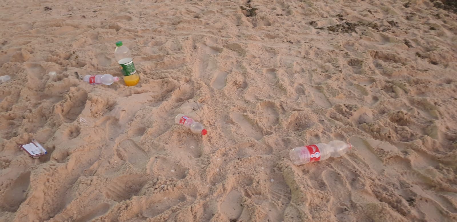 WhatsApp Image 2020-08-03 at 7.58.27 PM.jpeg.jpeg